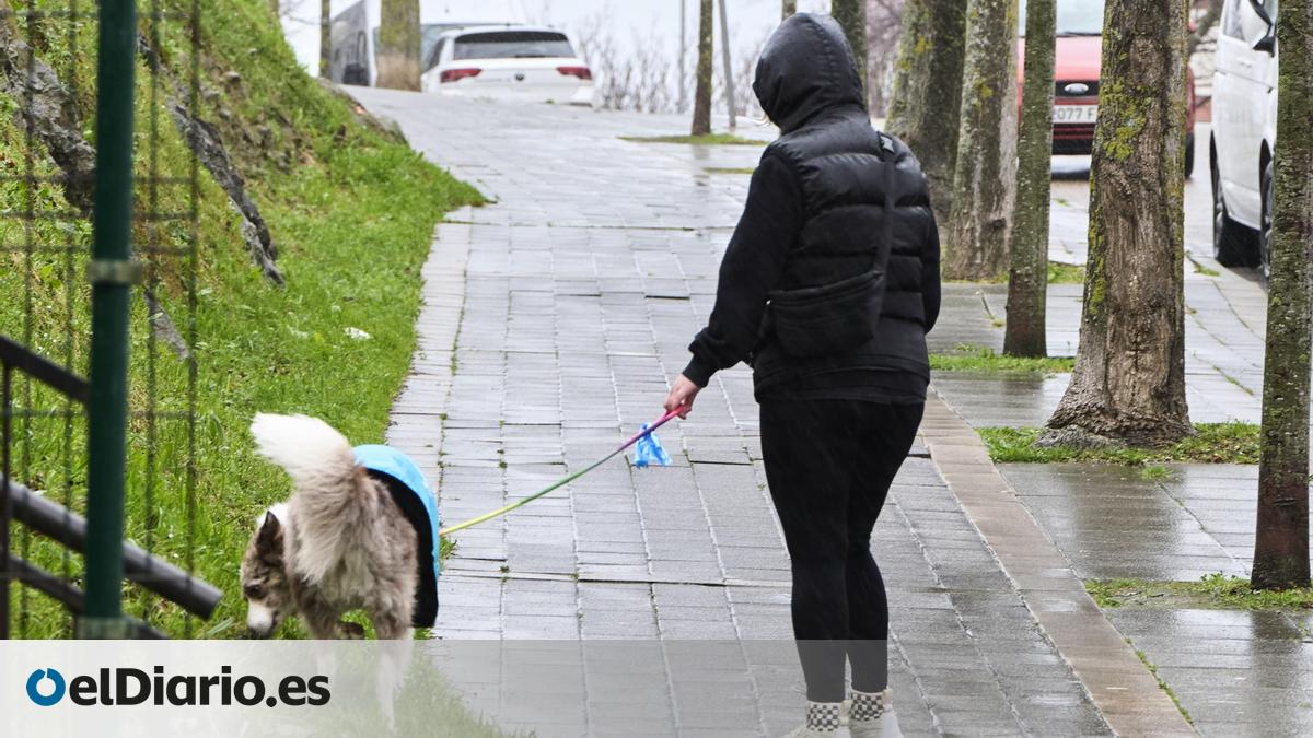 El tiempo cambia de cara en Madrid: la nubosidad crecerá y la Sierra podría recibir lluvias dispersas – elDiario.es