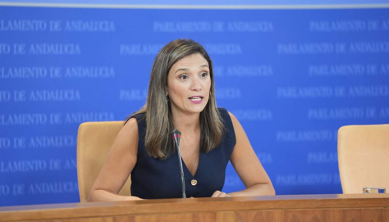 Márquez insiste: «55.100 hectáreas quemadas en Huelva no pueden ser solo un número» – Andalucía Información