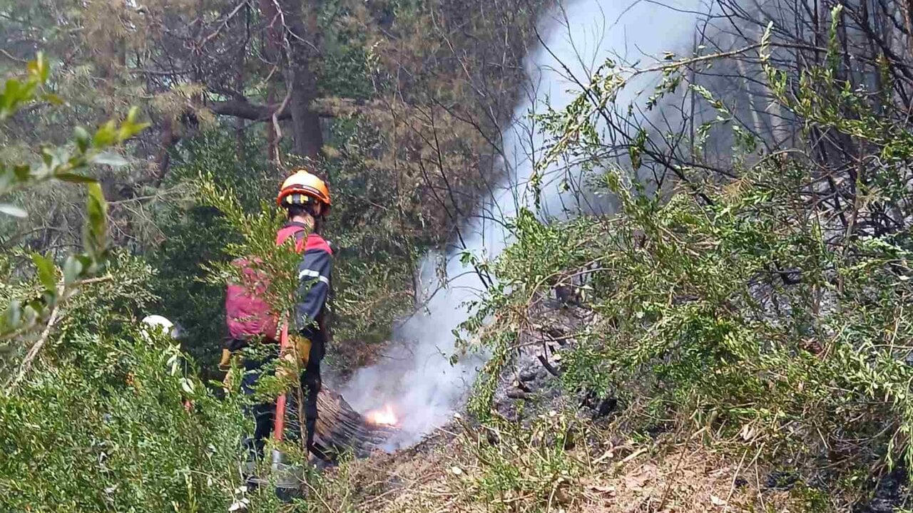 Incendio en Urzainqui: última hora de los trabajos de extinción – Navarra.com
