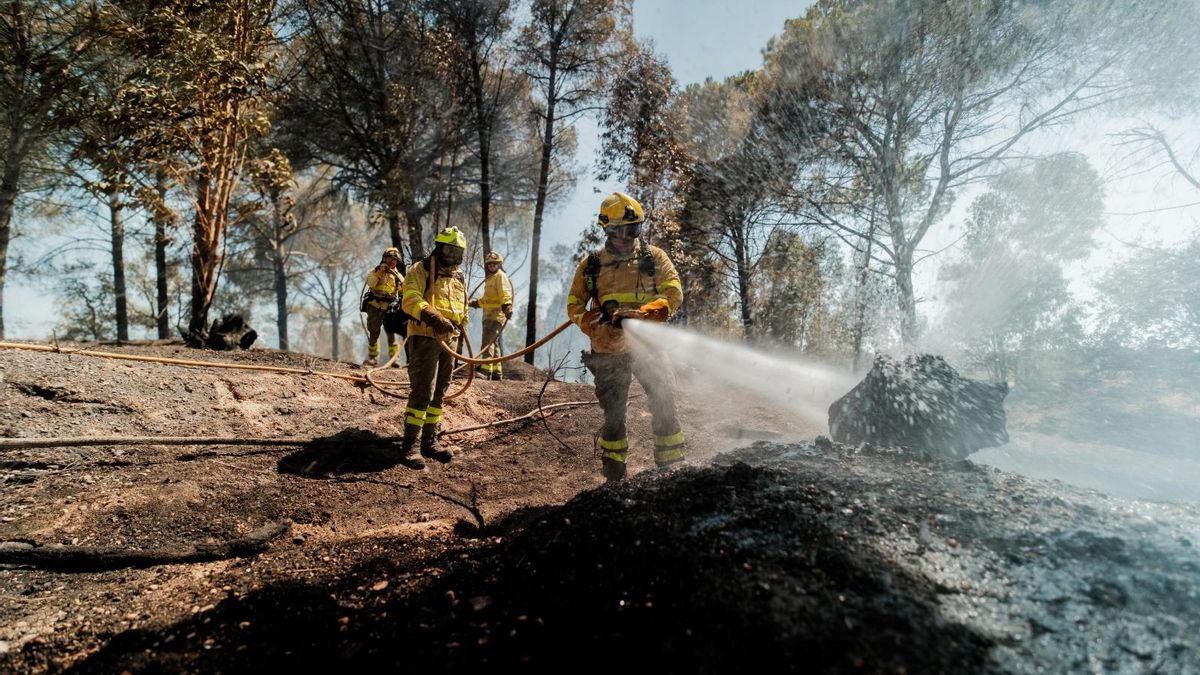 El incendio de Niebla, el mayor de la historia de Andalucía, queda estabilizado tras más de una semana fuera de control – elDiario.es