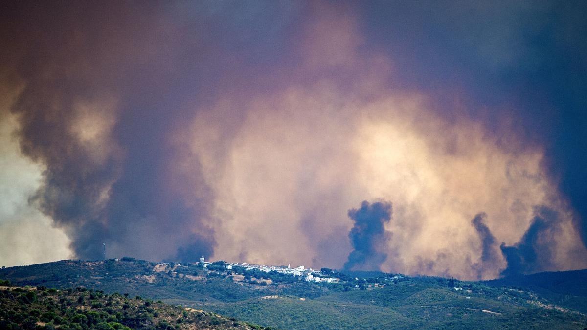 El incendio de Niebla es ya uno de los más devastadores de los últimos años en Andalucía: sigue sin control tras afectar a más de 8.000 hectáreas y 474 desalojados – El Correo de Andalucía