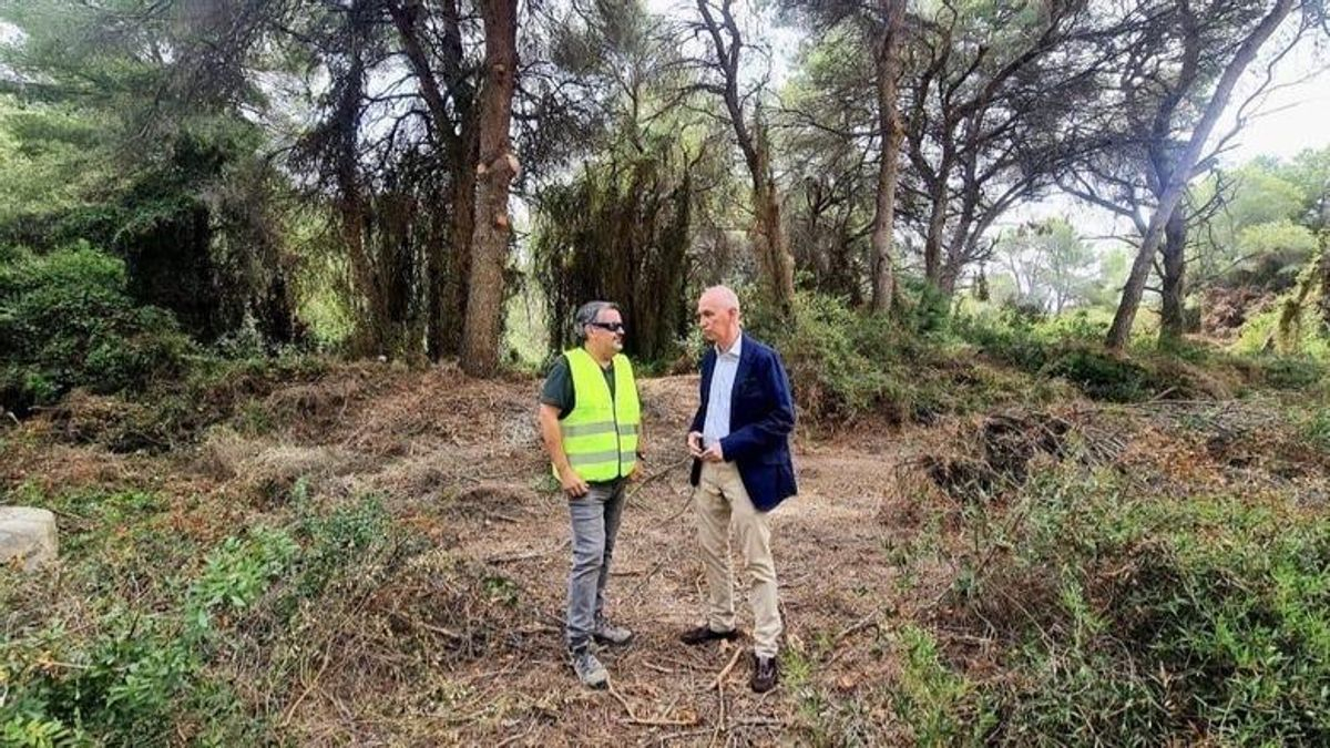 Vox descartó este verano aplicar un tratamiento antiincendios en la Devesa del Saler que ha arrasado el fuego – elDiario.es