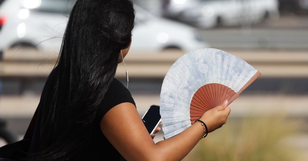 Cuarta ola de calor en Málaga: Fuente de Piedra roza los 42º, 15 más que en Marbella – Málaga Hoy