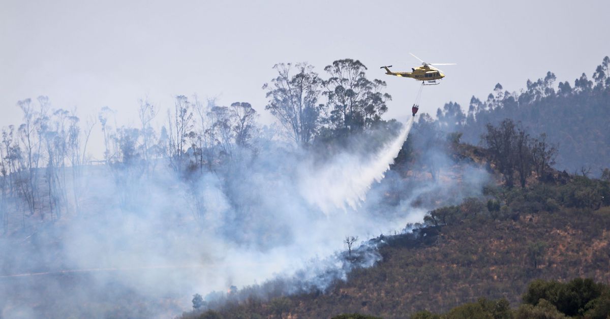 El 60% de los incendios de este verano en Andalucía tienen «causas desconocidas» – Diario de Sevilla