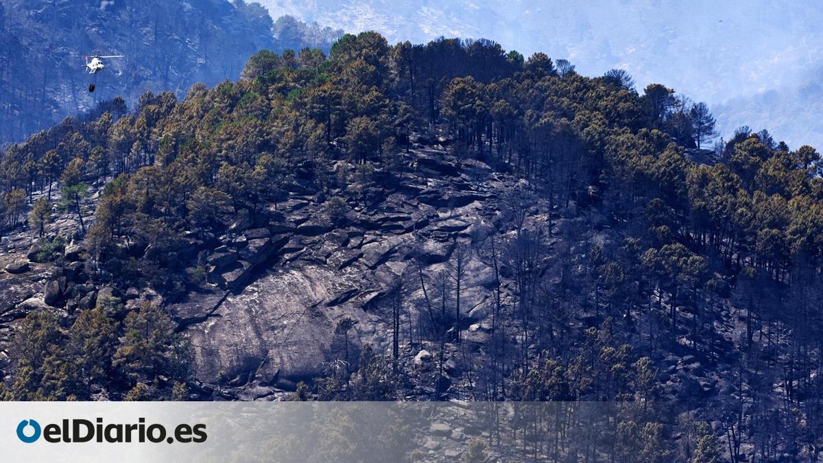 Castilla y León declara la alerta por riesgo extremo de incendios entre el 11 y el 13 de agosto – elDiario.es