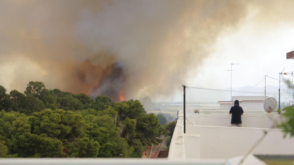 Así han sido los trabajos de extinción del incendio de El Saler este jueves – Levante-EMV