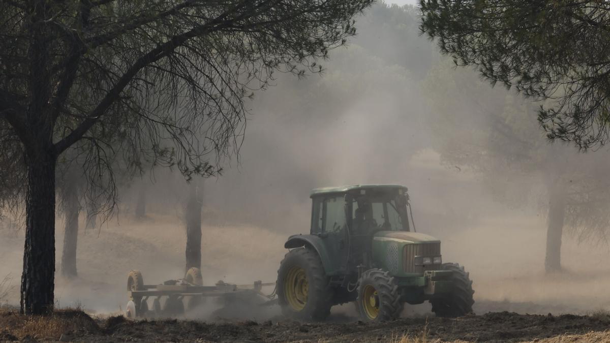 El incendio forestal de Niebla alcanza las 25.000 hectáreas aunque un ‘un cambio de patrón’ frena su avance en Sevilla y Huelva – El Correo de Andalucía
