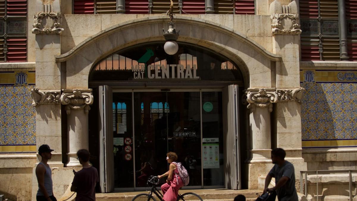 Los fósiles marinos incrustados en las fachadas históricas de València – Levante-EMV