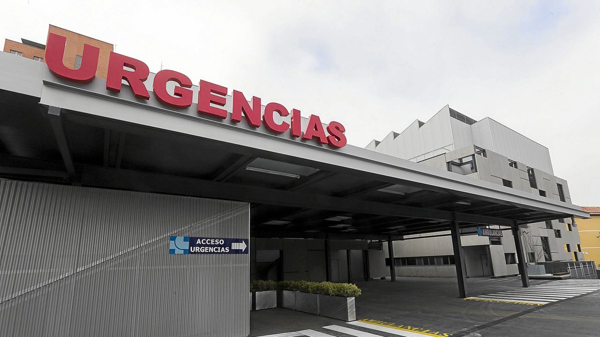 Tuberculosis en Castilla y León: muere un trabajor de una explotación agrícola y otro ingresa en el Clínico de Valladolid – Diario de Valladolid