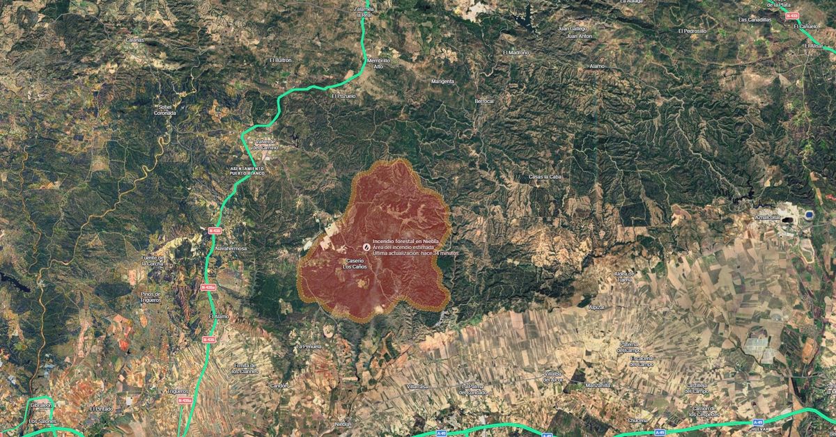 El incendio de Niebla afecta ya a 8.000 hectáreas – Huelva Información