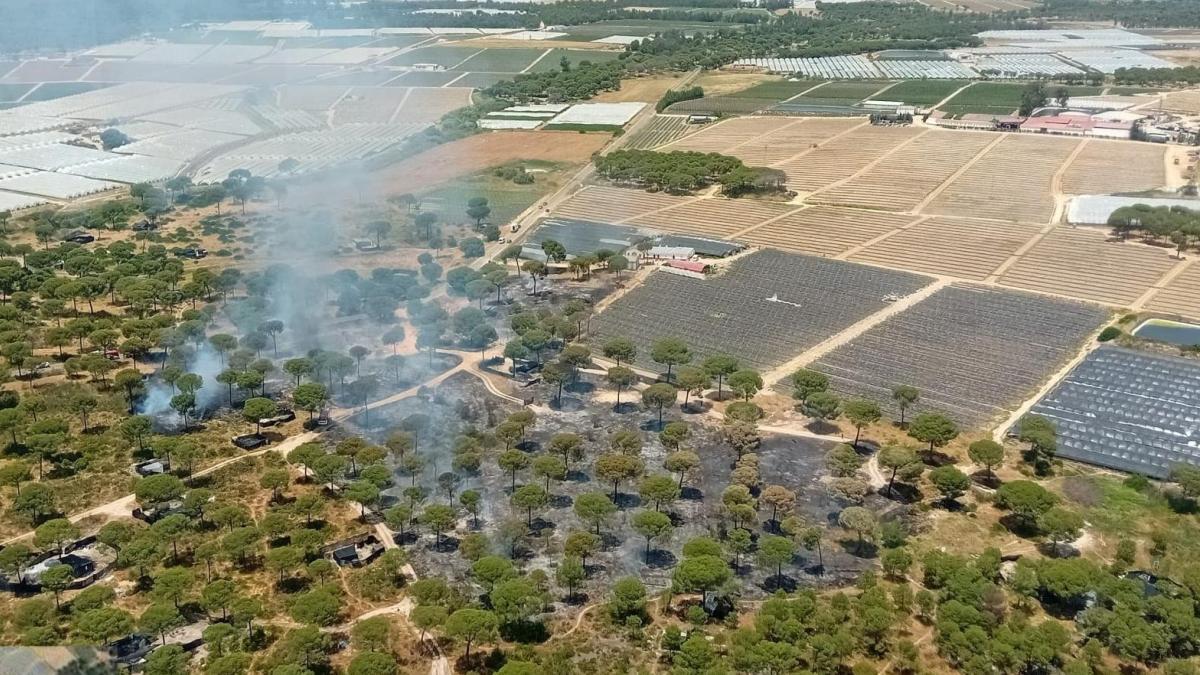 Controlado el incendio de Lucena del Puerto en Huelva – La Vanguardia