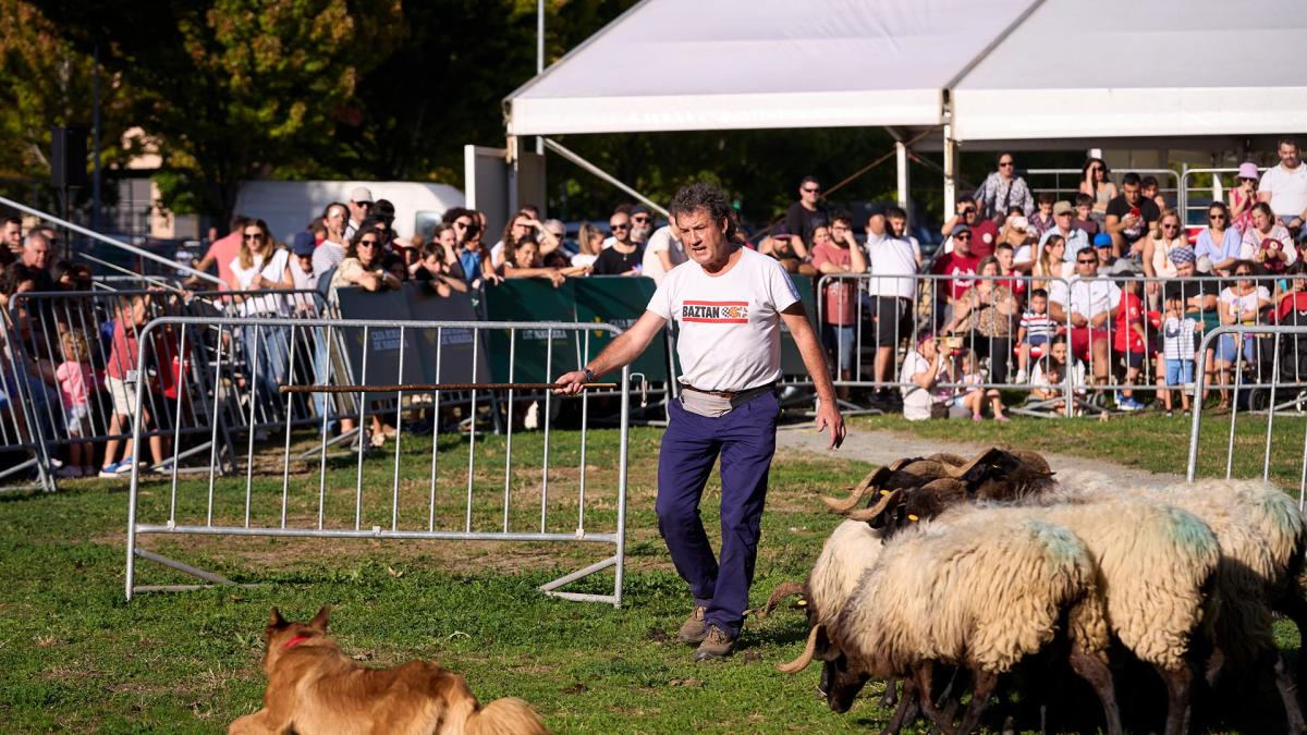 Vuelve la feria Autentika a Pamplona: fechas, horarios y actividades – Diario de Navarra