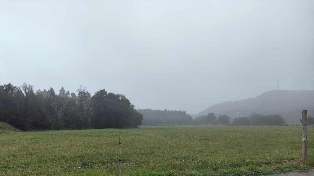 Media Galicia en alerta roja por calor mientras en este rincón sacan el paraguas: van más de 14 litros de lluvia acumulada este sábado – El Correo Gallego