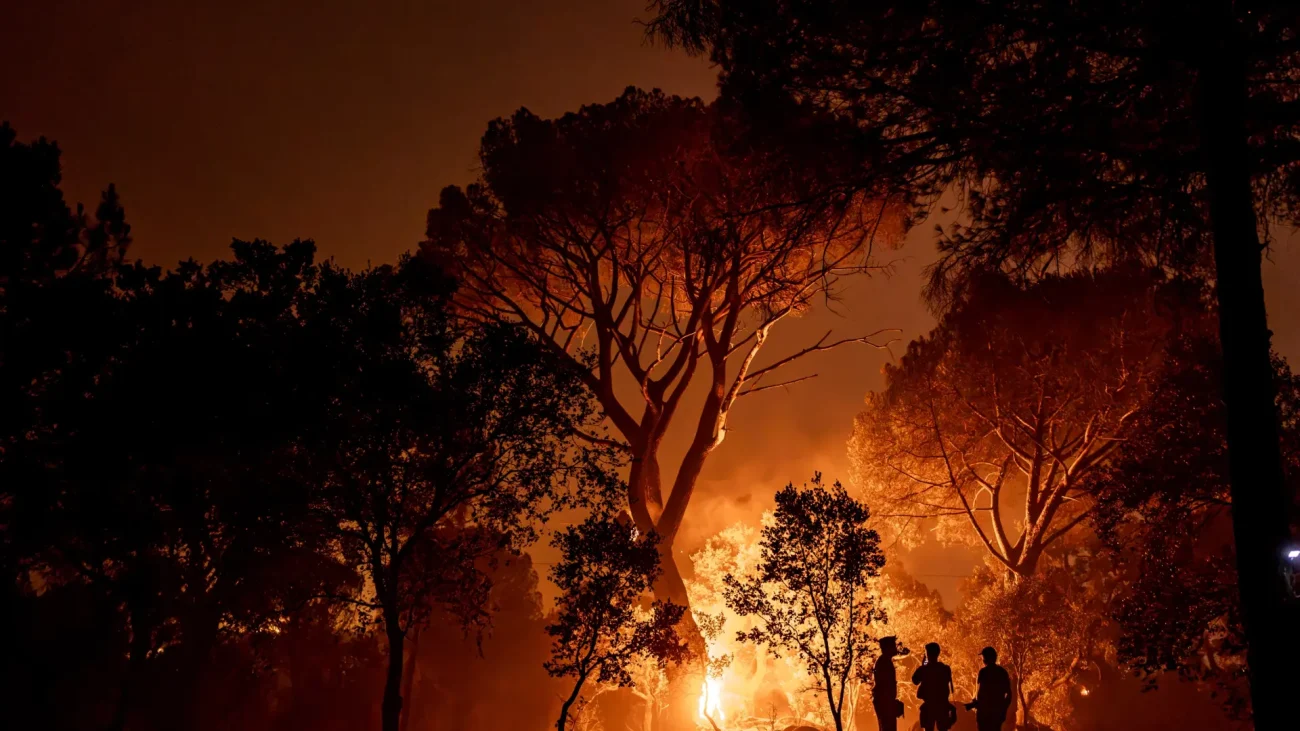 Las familias desalojadas por los incendios de Castilla y León ya pueden pedir una ayuda de 500 euros: plazos y requisitos – 20Minutos