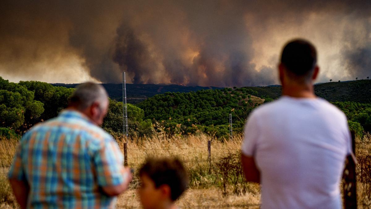 Fuera de control uno de los peores incendios de Andalucía de los últimos años – La Vanguardia