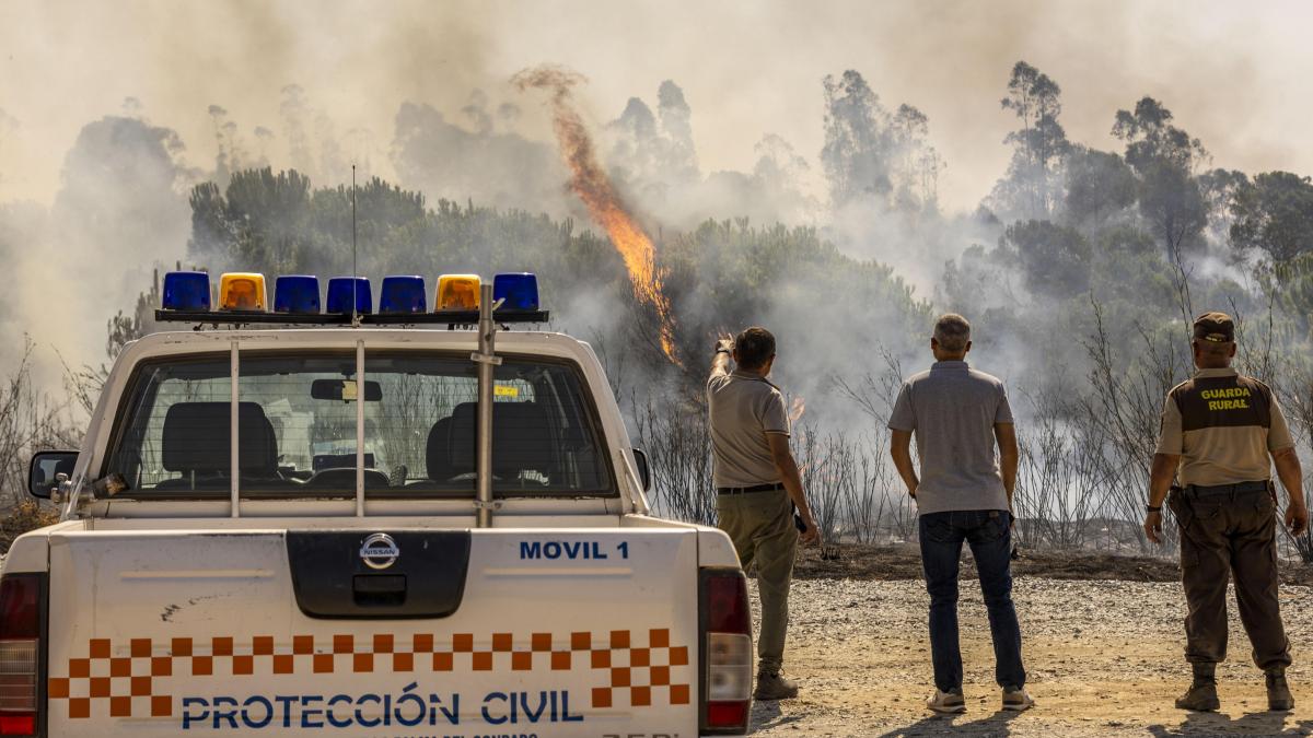 El incendio de Niebla (Huelva) ya es el mayor de la historia de Andalucía, junto al de Riotinto de 2004 – La Vanguardia