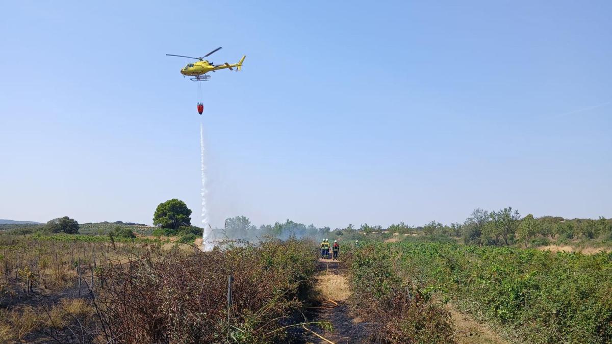 Extinguido un incendio de rastrojo y viñedos en El Pinar (Cáseda) – Diario de Navarra