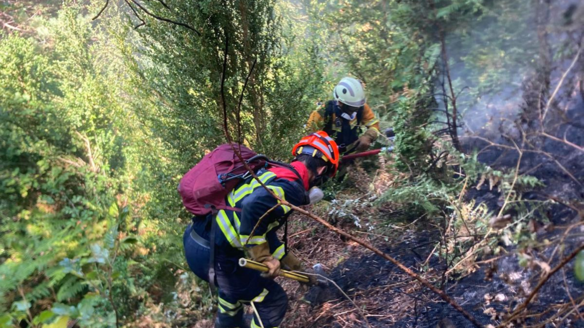 Sindicatos de bomberos dicen que el incendio de Urzainqui ha llevado al dispositivo «al límite de su capacidad» – Diario de Navarra