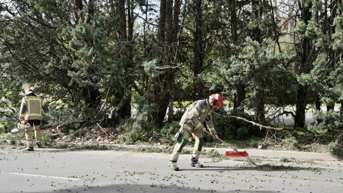Llegan fuertes rachas de viento y lluvias a Castilla y León este lunes: la Aemet activa la alerta amarilla en cinco provincias – Diario de Castilla y León