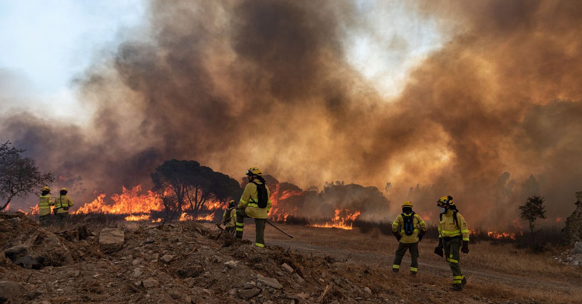 Las heridas de medio siglo en la lucha contra las llamas en Andalucía – Diario de Sevilla