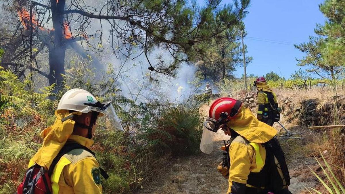 Incendios y sequía en Galicia, en directo | Evolución de la sequía, incendios forestales y olas de calor en Galicia – Faro de Vigo