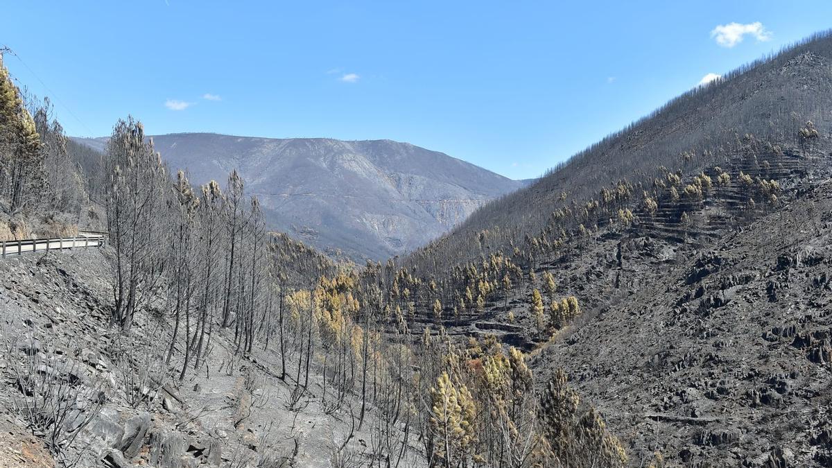 En directo | El incendio de Las Hurdes queda estabilizado tras calcinar más de 4.200 hectáreas – El Periódico Extremadura
