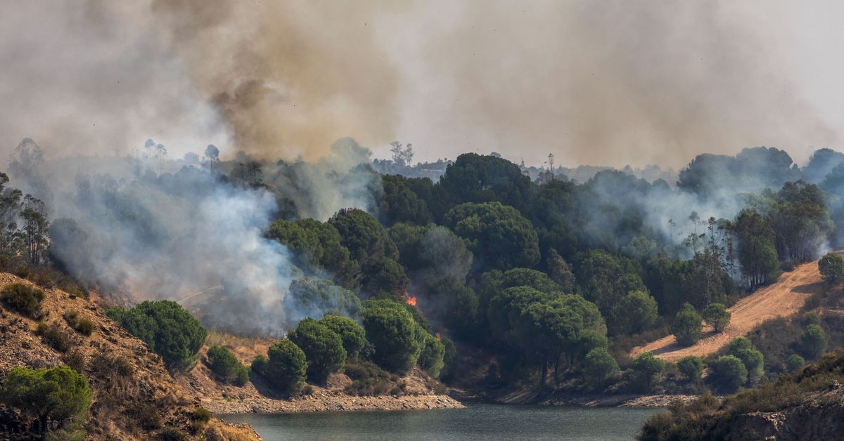 El viento vuelve a condicionar la extinción del incendio de Niebla pero «se frena» su crecimiento – Canal Sur