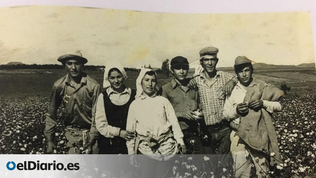 Medio siglo de rebeldía jornalera en Andalucía: el SOC celebra este mes su 50 aniversario en Marinaleda – elDiario.es