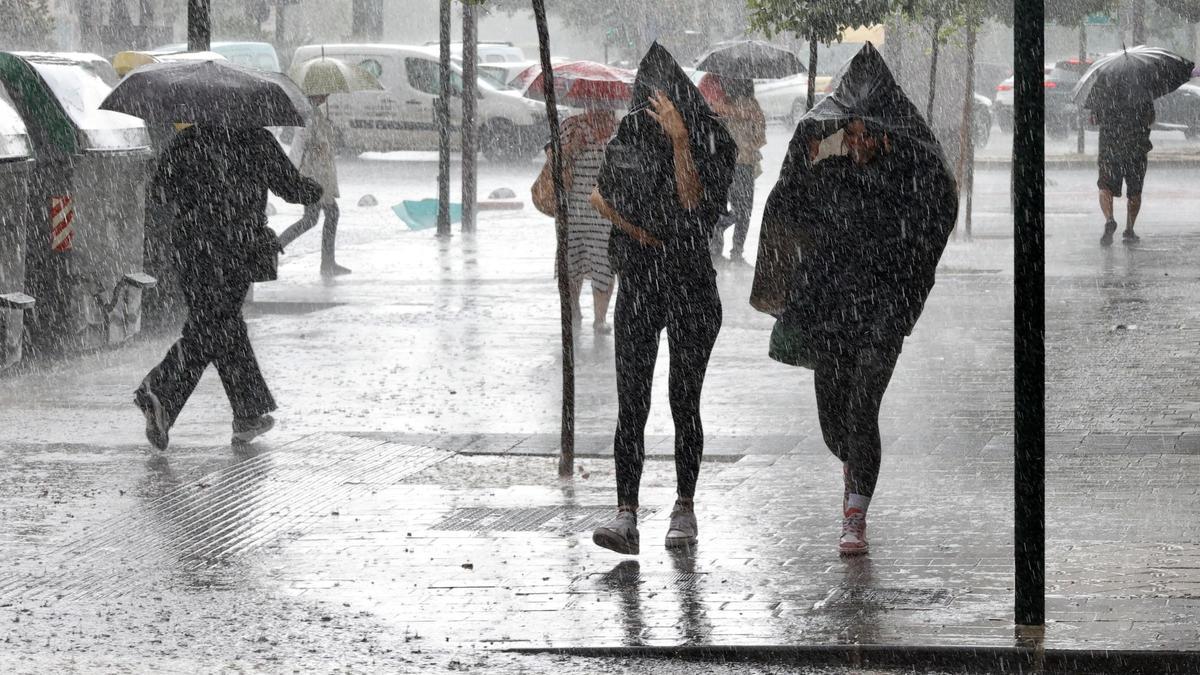 Aemet activa el aviso amarillo por lluvias y tormentas este sábado en casi toda la Región – La Opinión de Murcia