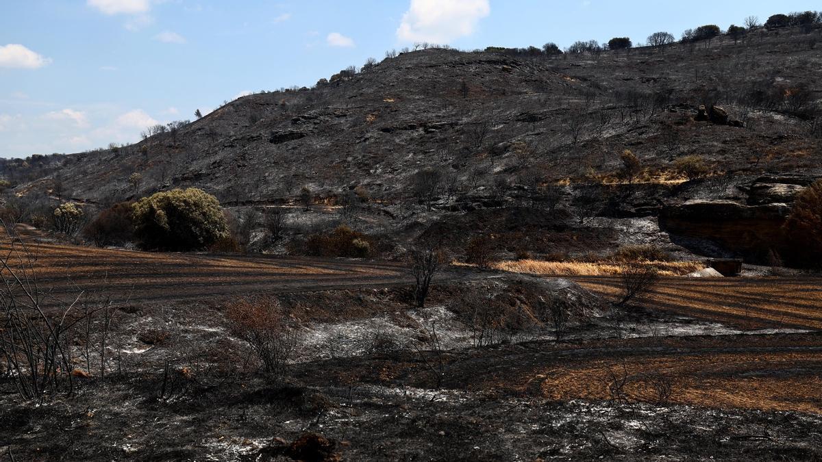 Extinguido el incendio de las Cinco Villas tras arrasar 15.400 hectáreas y convertirse en el segundo más destructor de la historia de Aragón – El Periódico de Aragón