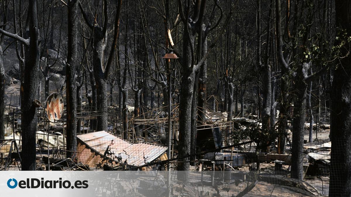 Castilla y León pone en marcha las primeras ayudas tras los incendios: 1,8 millones para agricultores y ganaderos – elDiario.es