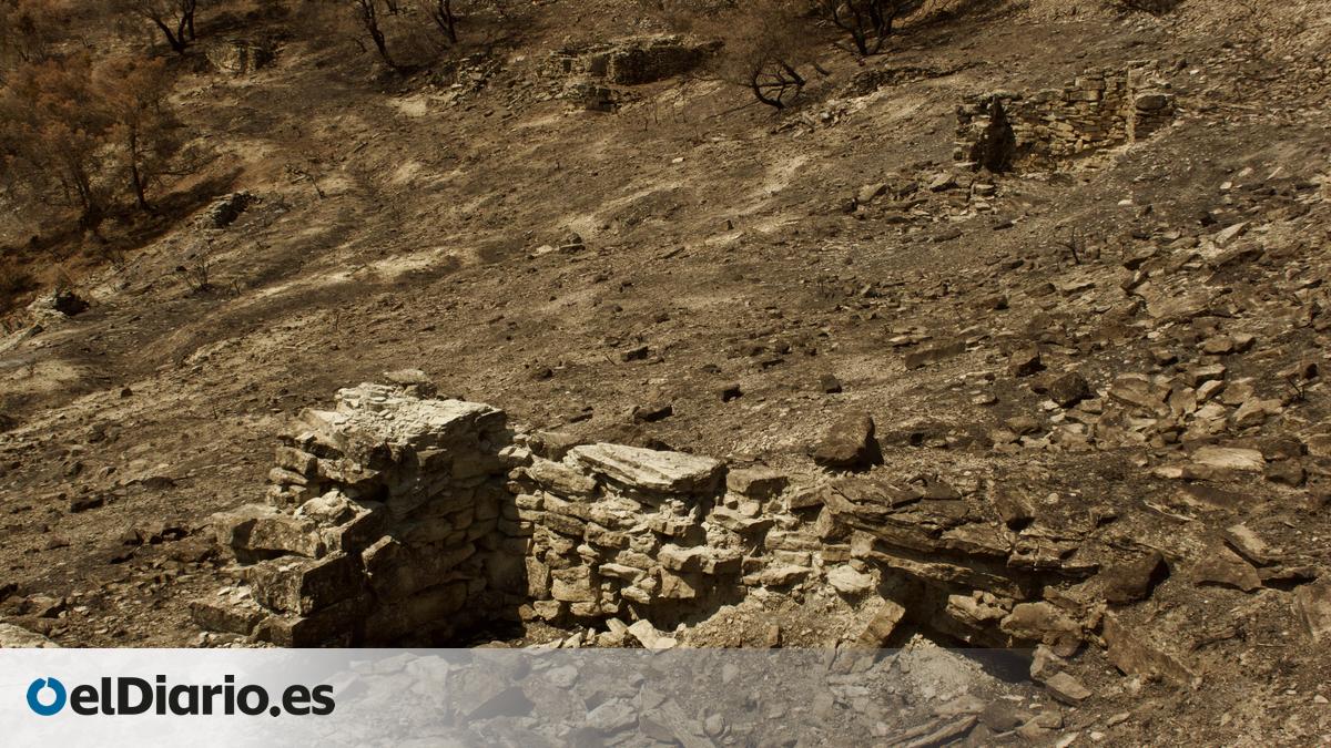 El incendio de Los Monegros saca a la luz decenas de fortificaciones del frente de Aragón ocultas durante décadas – elDiario.es