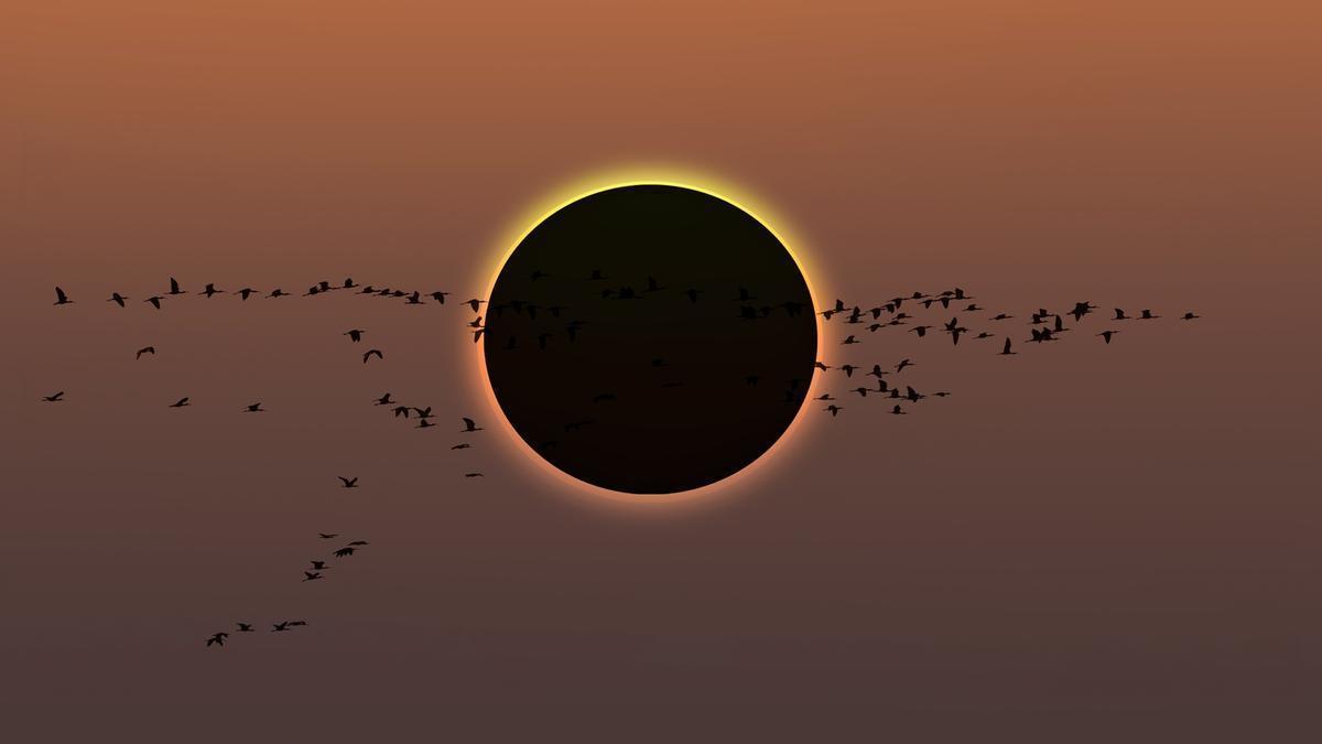 Eclipse solar en Málaga: a qué hora verlo, los mejores sitios y cómo observarlo con seguridad – La Opinión de Málaga