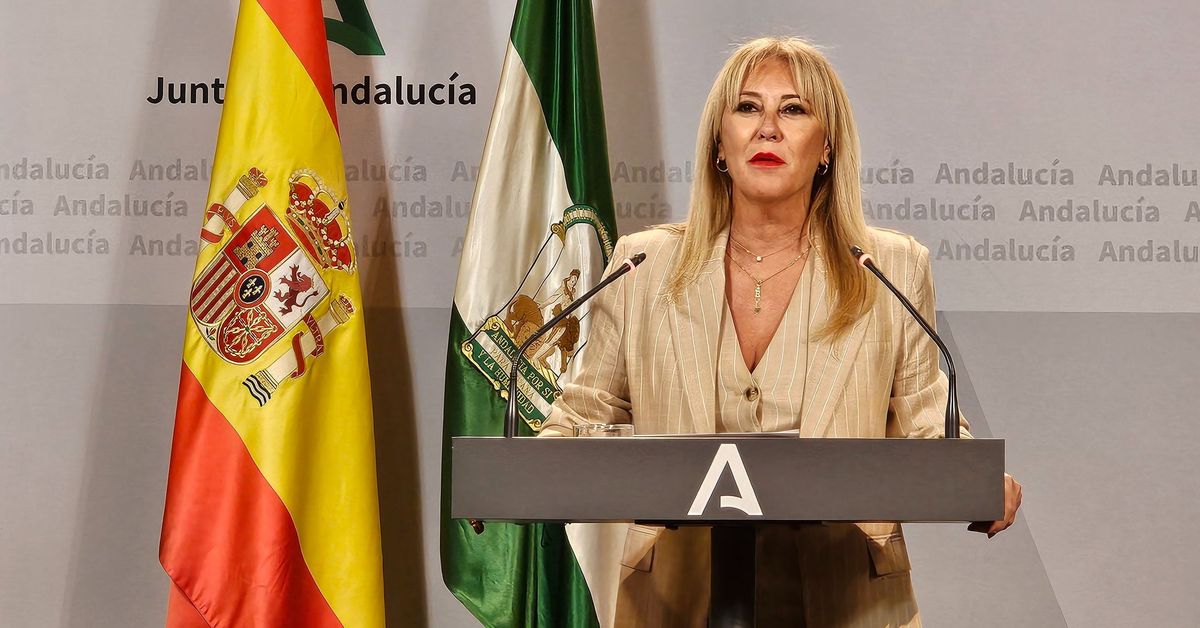 La Junta pide la declaración de “zona afectada» en Almería, Granada, Huelva y Sevilla por incendios y terremotos – Canal Sur