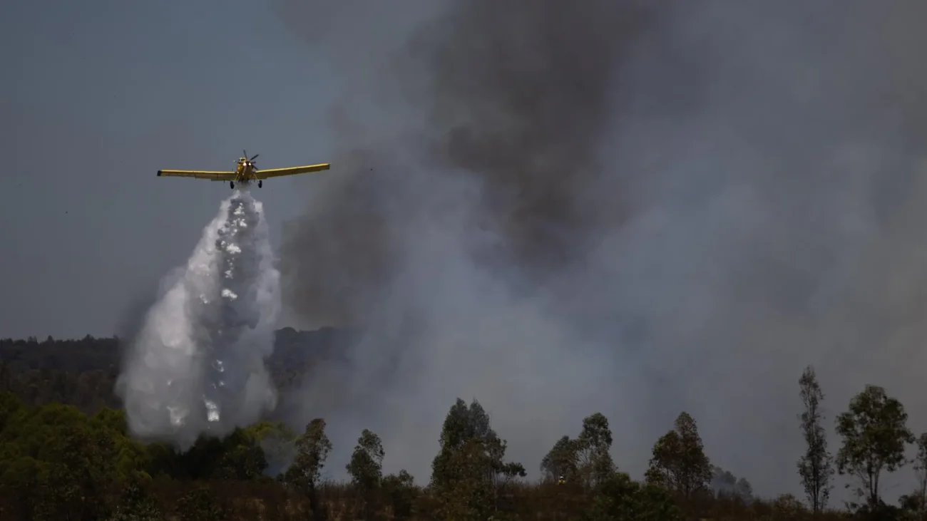 Más de 300 efectivos trabajan sin descanso para controlar el incendio de Niebla – larazon.es