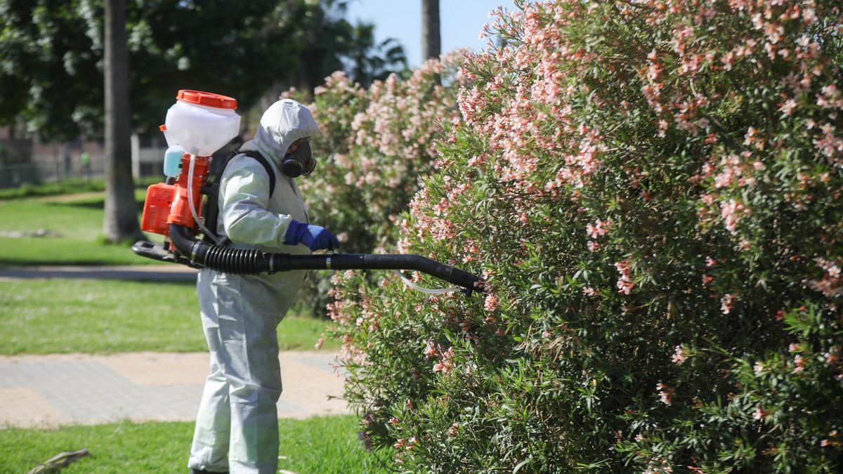 El virus del Nilo sigue al alza en Andalucía y ya son 26 los casos detectados, todos en la provincia de Sevilla – elDiario.es