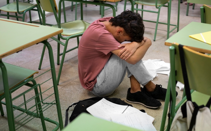 Castilla y León confirma 112 casos de acoso escolar en el último curso – SoriaNoticias