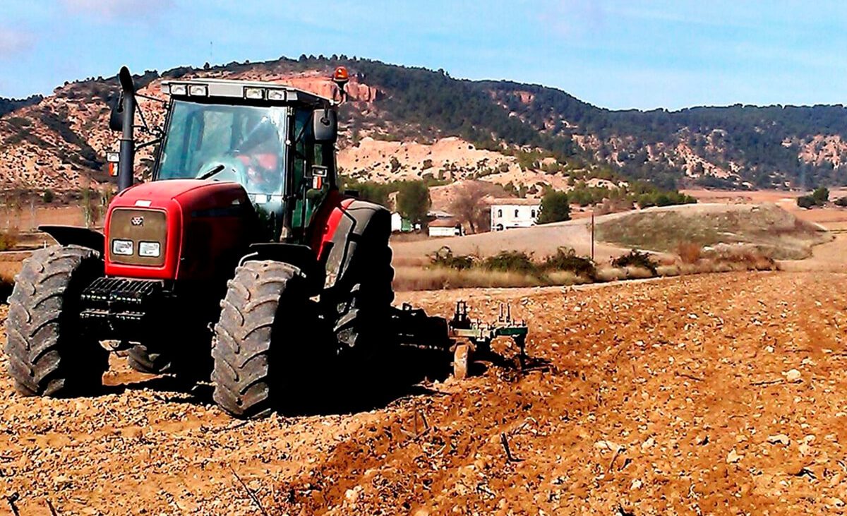 Desde Castilla-La Mancha se abonarán pagos de la PAC por 10,7 millones a 82.000 agricultores a partir del 4 de septiembre – Agroinformacion