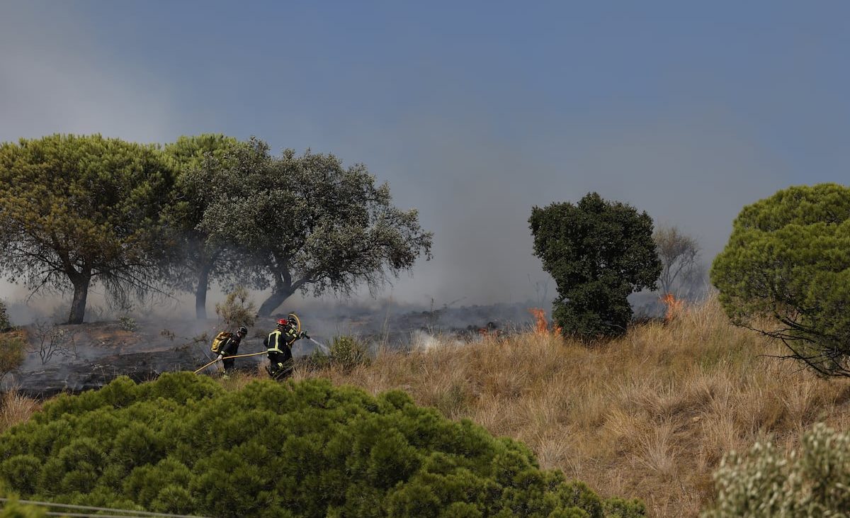 El incendio del parque natural de Collserola obliga a desalojar parte de los vecinos de Torre Baró en Barcelona – EL PAÍS