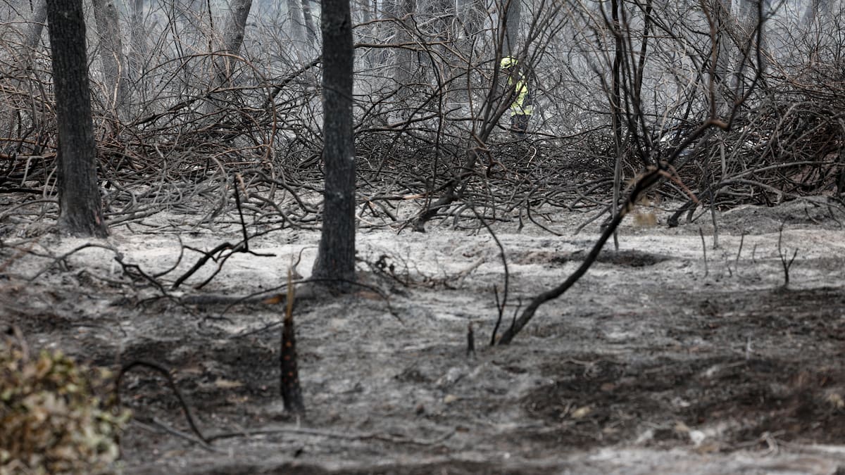 Controlado el incendio forestal de El Saler pero se mantienen las restricciones de acceso al parque natural – Cadena SER