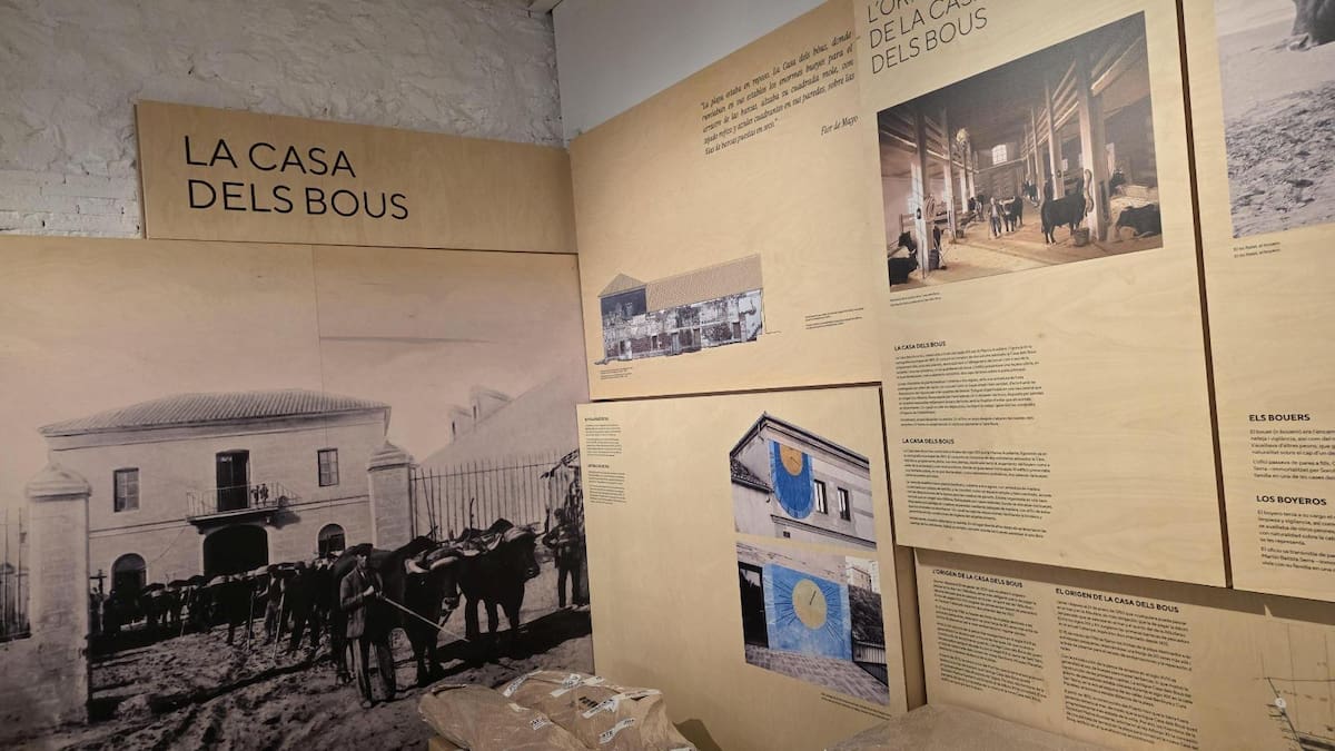 Últimos pasos para la apertura de un nuevo museo en València: el Ayuntamiento acelera el montaje del Museu de la Mar – Cadena SER