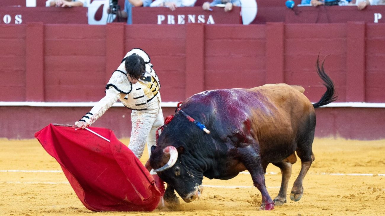Málaga: David Galán, dos orejas en una tarde de emociones y despedidas con una brava corrida de Lagunajanda – mundotoro.com