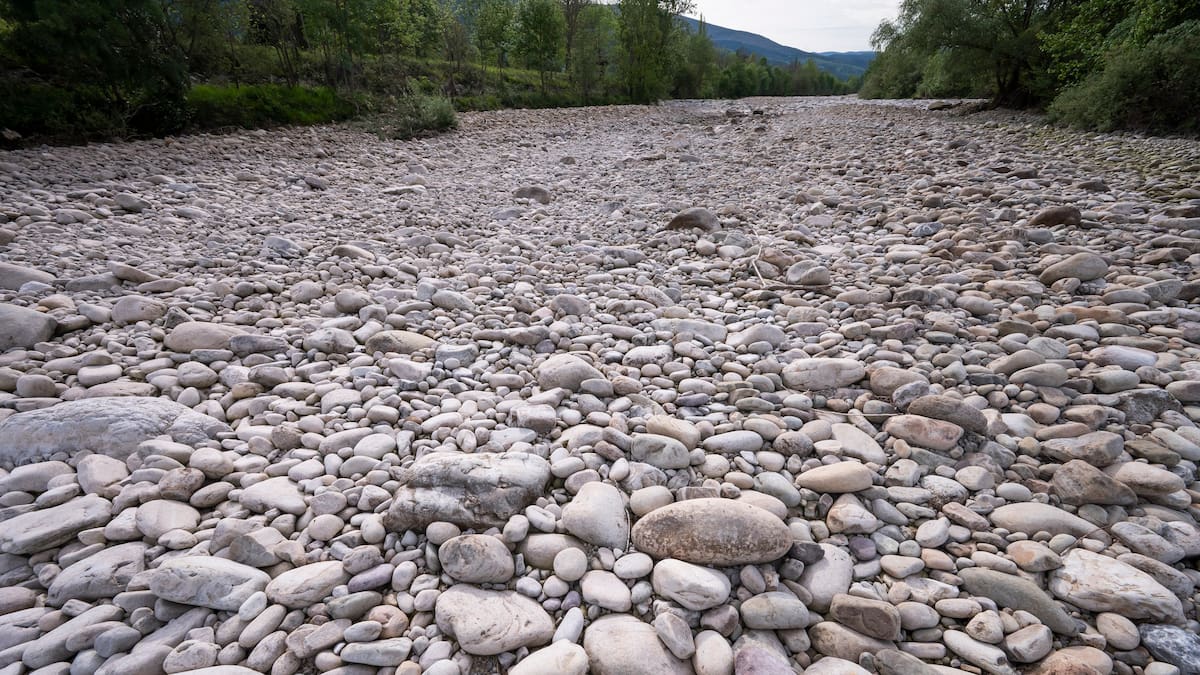 ASAJA alerta de una sequía “catastrófica” en Cantabria: los ganaderos ya estudian reducir ganado por falta de agua y pastos – Cadena SER