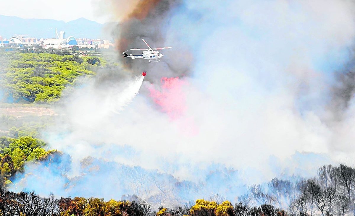 El peor incendio en la historia de El Saler – Las Provincias