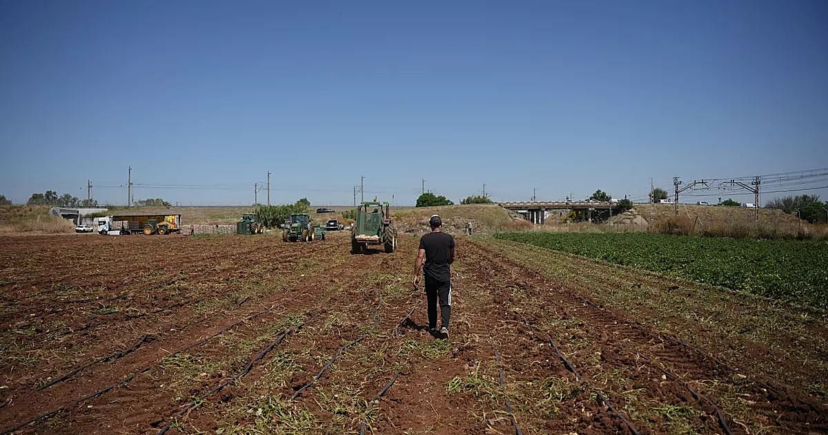 Castilla-La Mancha fija las prioridades para la futura PAC junto a las organizaciones agrarias – ABC
