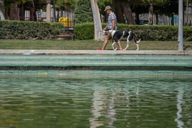 Cielos nubosos y descenso de las temperaturas máximas este lunes en Castilla-La Mancha – Lanza Digital