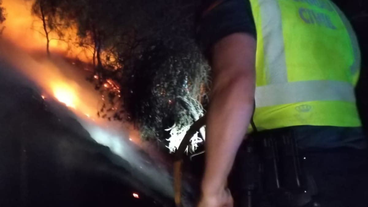 Un incendio forestal en Peralta (Navarra) afecta a 200 metros de masa forestal – Cadena SER