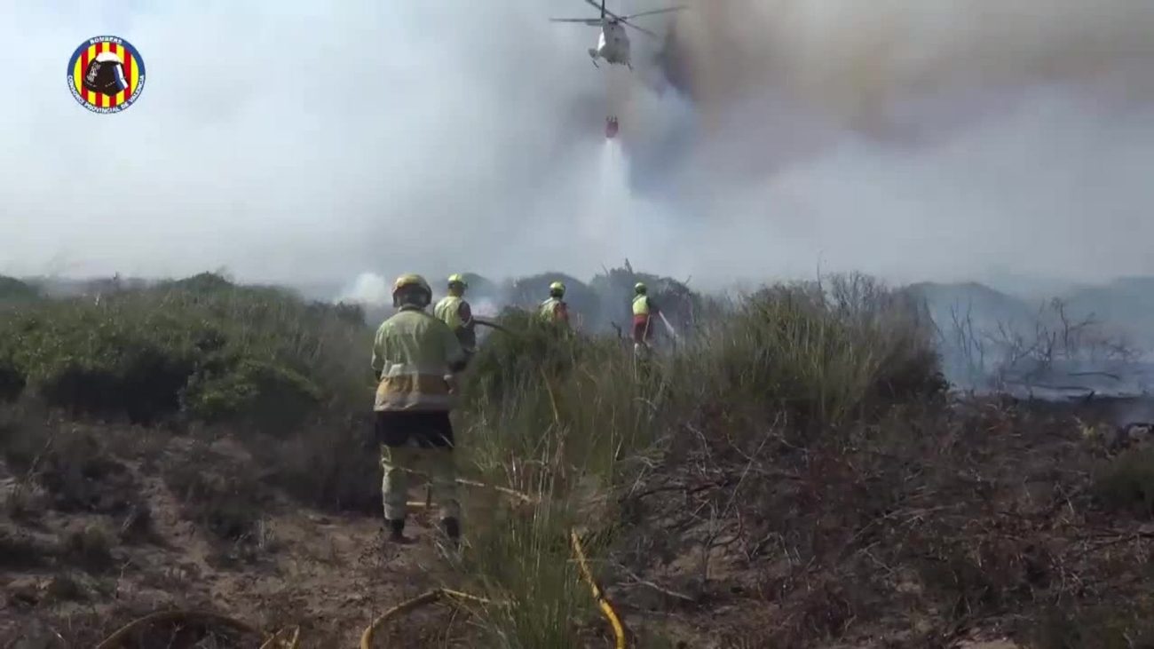 El incendio de El Saler (Valencia) afronta una «hora crítica» por el cambio de viento – ABC