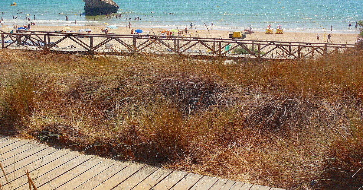 La playa de Andalucía con kilómetros de arena fina, una torre en el mar y el parque nacional más grande de España a sus pies – Infobae
