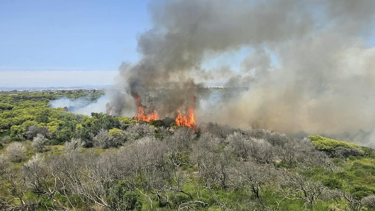 Última hora del incendio en la Devesa del Saler: las llamas ya obligan a evacuar El Saler – Levante-EMV